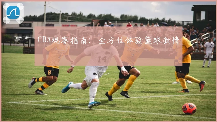 CBA观赛指南：全方位体验篮球激情