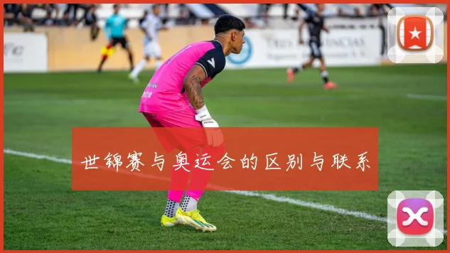 世锦赛与奥运会的区别与联系